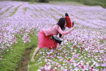 Có tâm như đứa bạn thân: Bất chấp để chụp được ảnh đẹp