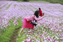 Có tâm như đứa bạn thân: Bất chấp để chụp được ảnh đẹp