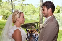 Những kẻ phá rối đáng yêu trong ngày cưới