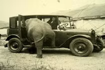 Ảnh hài hước thời xưa cũ