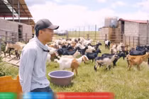 Mất 70 con dê, Quang Linh chua chát thừa nhận mình quá tham vọng