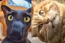 Những khoảnh khắc “khó đỡ” không thể giải thích của “quàng thượng“