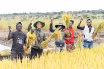 Quang Linh trồng lúa thành công, Bộ trưởng Nông nghiệp Angola đến thăm