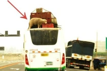 Ảnh độc chỉ có ở Peru (1)