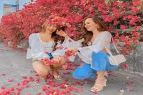 Muốn chụp hoa giấy đẹp lịm tim tại Hà Nội giới trẻ nên đến đâu?