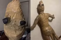 Cô gái hóa thành con thạch sùng để thử người yêu và cái kết