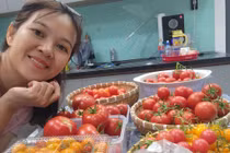 Mẹ đảm biến sân thượng thành vườn quê xanh mướt