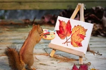 Ngắm ảnh sóc chuột siêu cute sinh hoạt như người