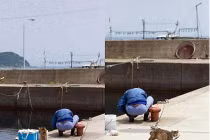 Tranh thủ hơn cao thủ