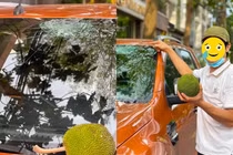 Quả mít “oan nghiệt” khiến chủ xế hộp tiền tỷ khóc ròng