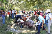 Trải nghiệm hoạt động tát mương bắt cá hút khách du lịch