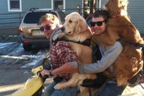 Khoảnh khắc hài hước: Địu cún đi dạo