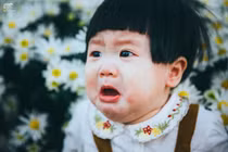 Hài hước bộ ảnh em bé mếu máo giữa vườn cúc hoạ mi