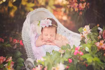 Mãn nhãn ngắm bé yêu say ngủ giữa thiên nhiên (1)