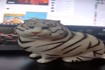 "Dở khóc dở cười" pha mua hàng online: Hổ oai phong hóa mèo...béo phì