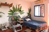 9X tài năng hô biến phòng trọ ổ chuột thành "khu vườn nhiệt đới"