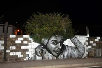 Hài hước tranh nghệ thuật đường phố (2)