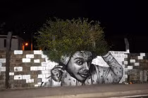 Hài hước tranh nghệ thuật đường phố (2)