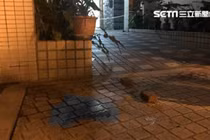 Nữ sinh 14 tuổi đâm chết bạn vì nghĩ bị nói xấu