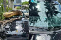 Mo cau oan nghiệt khiến chủ xế hộp tiền tỉ khóc ròng