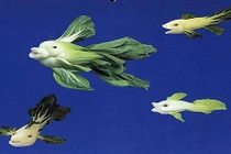 Tạo hình siêu dễ thương từ rau, củ, quả