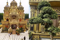 “Đại gia đồng nát” chi tiền tỷ mua cây cho bà con đến ngắm