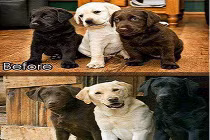 Ảnh cười Facebook: Ngày ấy và bây giờ