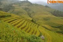 Phượt thủ đi “săn” cánh đồng vùng cao mùa lúa chín