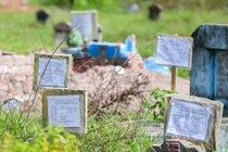 Cận cảnh khu nghĩa trang lớn nhất TPHCM sắp thành trường học, công viên