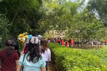 Hàng nghìn du khách về thăm quê Bác trong ngày thống nhất non sông