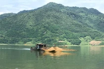 Đánh bắt loài cá trắng ngần đặc sản trên hồ thủy điện Hòa Bình