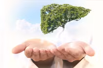 Đây là “đối thủ” của ung thư gan, làm quen ngay để giúp gan khỏe 