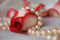 Hàng xóm đột nhiên bật nhạc to và sự thật ghê rợn 