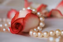 Hàng xóm đột nhiên bật nhạc to và sự thật ghê rợn 