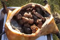 Boodog - Món ăn kinh dị gây tranh cãi vì quá tàn bạo