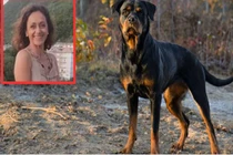 Giúp anh trai chăm chó cưng, em gái chết thảm vì...