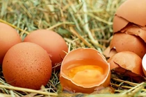 Luộc trứng theo cách trên Tiktok, người phụ nữ bỏng nặng 