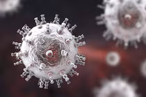 Loại virus gây ung thư sarcoma Kaposi