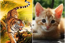 3 con giáp vận may liên tiếp, sự nghiệp nhảy vọt vào giữa tháng 3