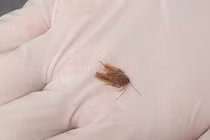 Ngủ quên trên ghế sô pha, người đàn ông gặp chuyện kinh dị 