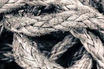 Nghe tiếng động lạ ở ban công, phát hiện chuyện ghê rợn 