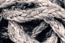 Nghe tiếng động lạ ở ban công, phát hiện chuyện ghê rợn 