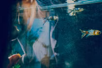 Lắp thứ này trong nhà, bố hối hận vì hại chết con trai 