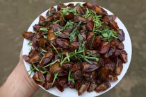 Kinh dị món đặc sản từ loài côn trùng vừa hôi vừa có thể gây mù lòa 