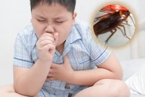 Con ho nửa năm không khỏi chỉ vì loài vật đáng sợ này