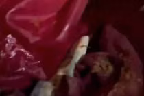 Đi làm về muộn một tiếng, vợ bị chồng cắt nát quần áo