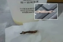 Uống hết cốc trà sữa, cô gái suýt nôn khi thấy con vật này