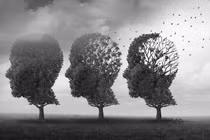 Vì sao mùa lạnh dễ bị suy giảm trí nhớ? 