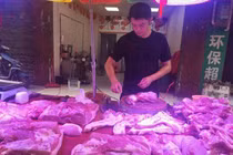 Cử nhân Luật bỏ việc văn phòng đi... livestream bán thịt lợn