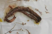 Hí hửng nấu lươn chồng bắt, vợ kinh hoàng khi thấy thứ này 